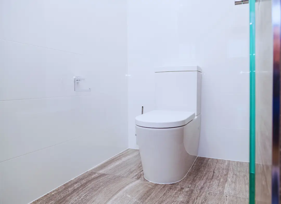 Remplacement de wc Challes-les-Eaux