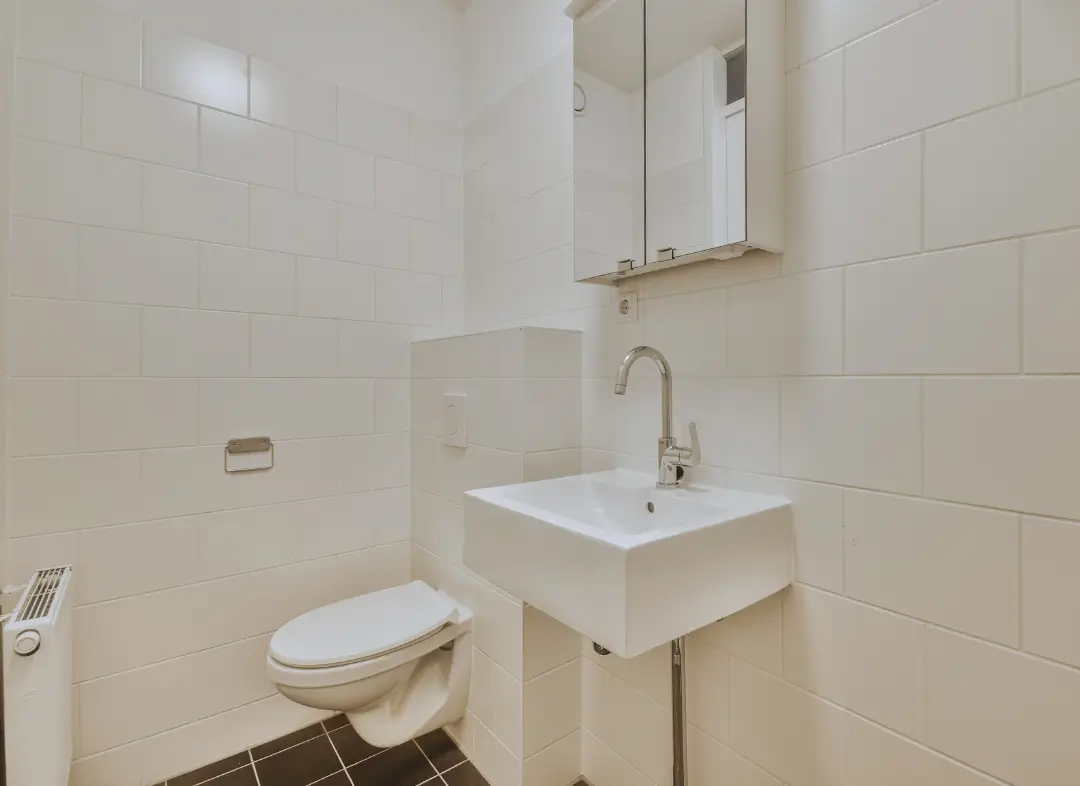 Pose WC Suspendu Challes-les-Eaux